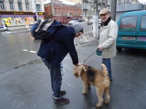 I'll stop anyone to pet one of these beautiful dogs. In Kiev, February 2012.